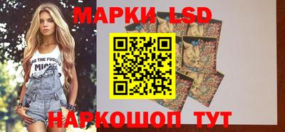 гидропоника Можайск