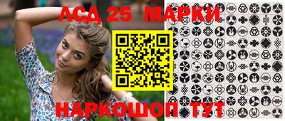 гидропоника Можайск