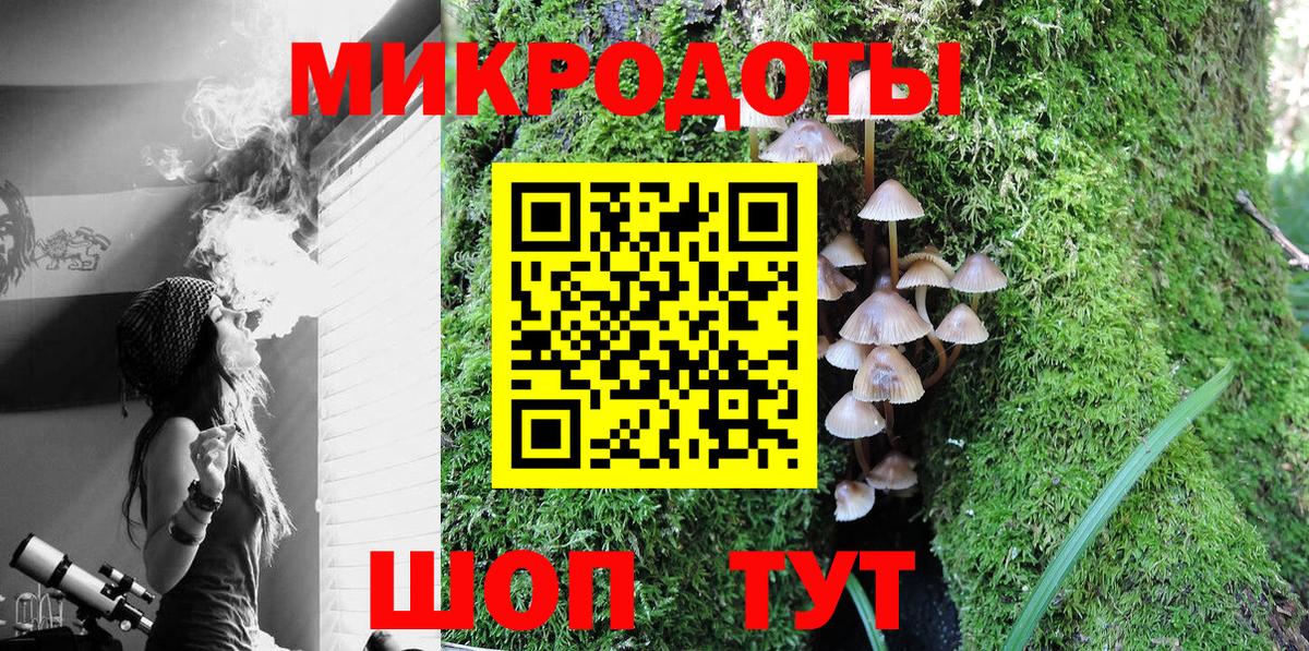Галлюциногенные грибы Psilocybine cubensis Губкинский