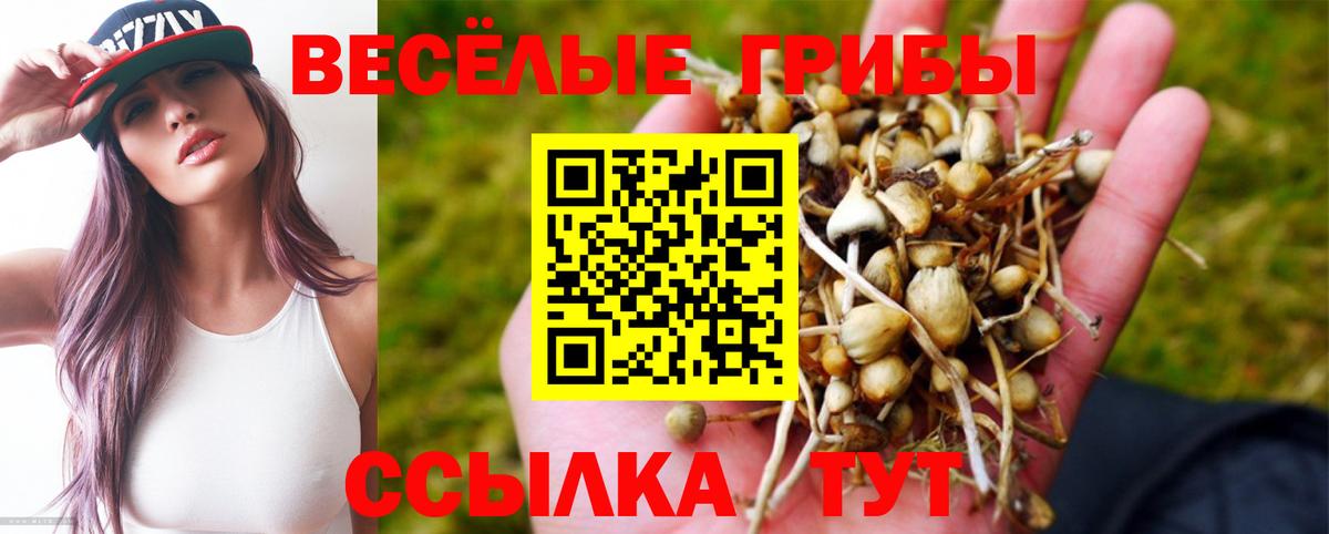 где купить наркоту  Псилоцибиновые грибы MAGIC MUSHROOMS  Вход с VPN  Губкинский 